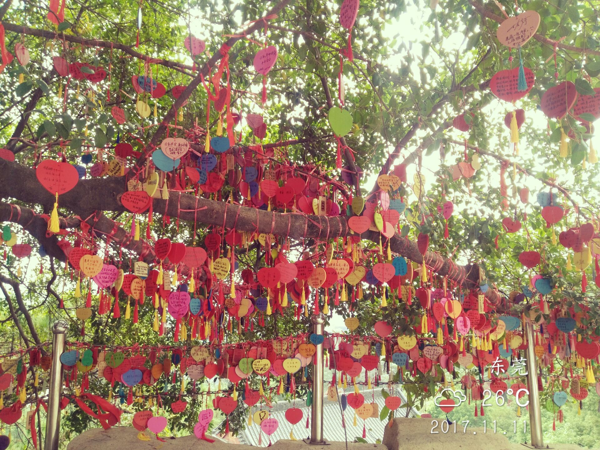 517e4e3555ef4fec.jpg 517e4e3555ef4fec.jpg